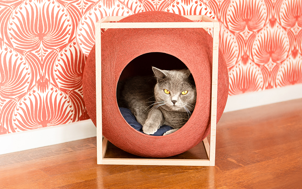 detourage photos apres