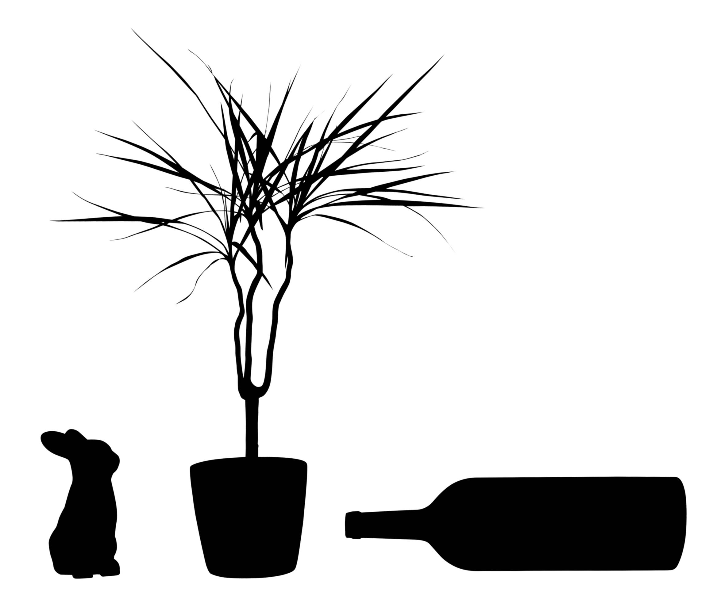 service detourage photos